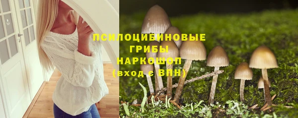мдма Богородицк