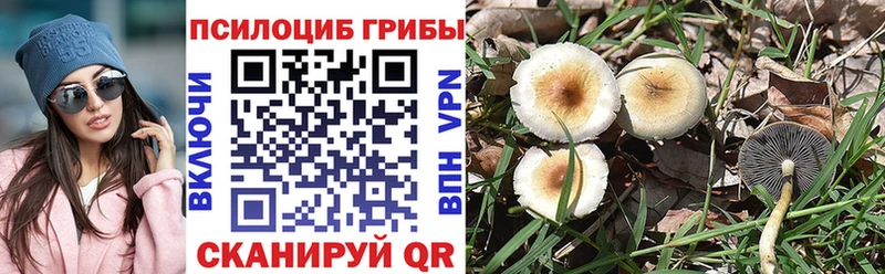 Псилоцибиновые грибы мухоморы  ОМГ ОМГ как зайти  Козловка 